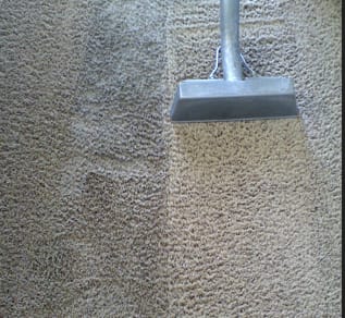 image description not provided by submitter