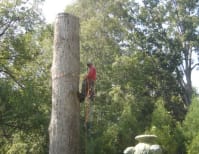 image description not provided by submitter