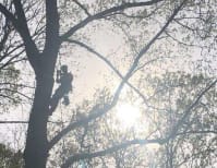 image description not provided by submitter