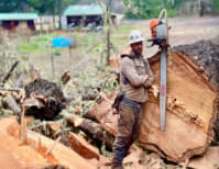 image description not provided by submitter