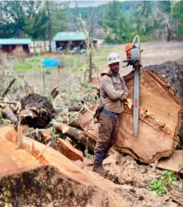 image description not provided by submitter