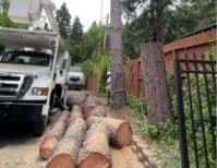 image description not provided by submitter