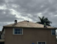 image description not provided by submitter