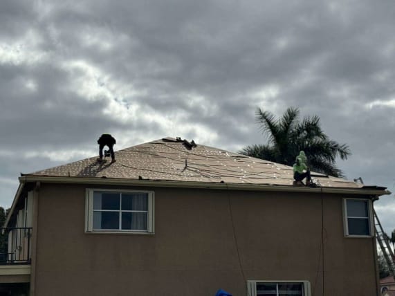 image description not provided by submitter