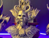 image description not provided by submitter