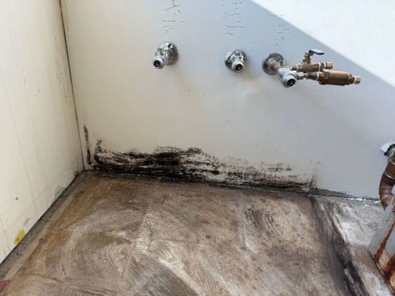 image description not provided by submitter