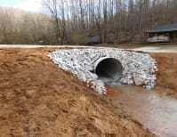 image description not provided by submitter