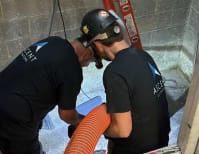 image description not provided by submitter