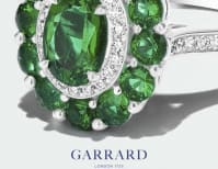 image description not provided by submitter