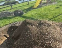 image description not provided by submitter