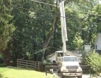 image description not provided by submitter