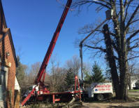 image description not provided by submitter