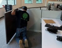 image description not provided by submitter