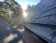 image description not provided by submitter