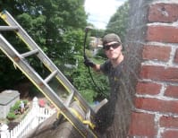 image description not provided by submitter