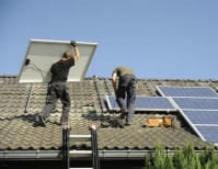 image description not provided by submitter