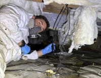 image description not provided by submitter