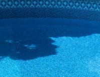 image description not provided by submitter