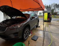 image description not provided by submitter