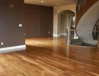 image description not provided by submitter