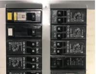 image description not provided by submitter