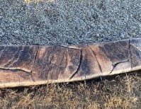 image description not provided by submitter