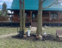 image description not provided by submitter