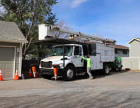 image description not provided by submitter