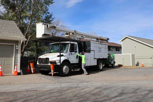 image description not provided by submitter