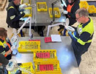 image description not provided by submitter