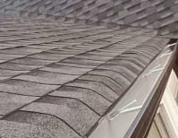 image description not provided by submitter