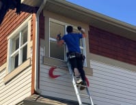 image description not provided by submitter