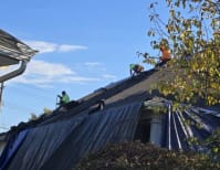 image description not provided by submitter