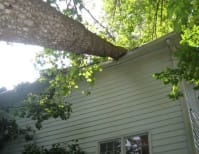 image description not provided by submitter