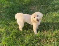 image description not provided by submitter