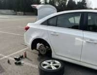 image description not provided by submitter