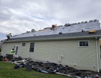 image description not provided by submitter