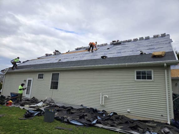 image description not provided by submitter