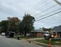 image description not provided by submitter