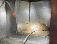 image description not provided by submitter