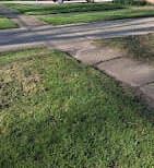 image description not provided by submitter