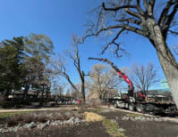 image description not provided by submitter