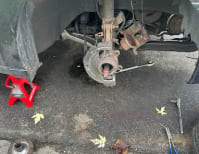 image description not provided by submitter