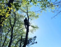 image description not provided by submitter