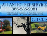 image description not provided by submitter