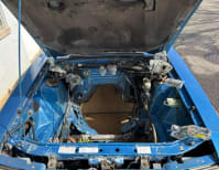 image description not provided by submitter