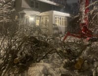 image description not provided by submitter