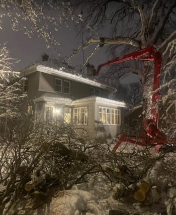 image description not provided by submitter