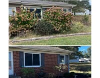 image description not provided by submitter