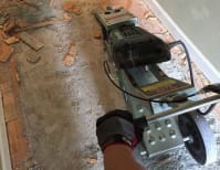 image description not provided by submitter